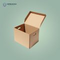 Corrugated Collapsible Boxes