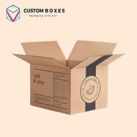 Carton Packaging Boxes