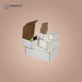Mailer Carton Boxes